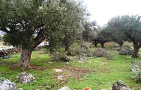 Land plot with an olive grove in Kalathas, Crete, Greece for 100,000 €