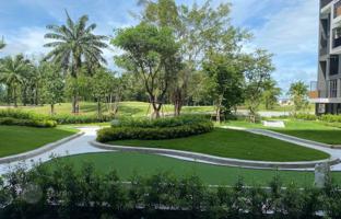 1-bedroom apartments in condo 29 m² in Choeng Thale for $160,000