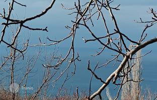 Land plot 740 m² in Blizikuće for 204,000 €