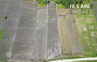 Land plot 1,950 m² in Tabanan for $567,000