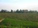 Investment land in Murlo for 5,200,000 €
