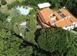 Hotel 950 m² in Pisa for 1,200,000 €
