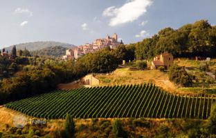 4-bedroom country house 1,070 m² in Trequanda for 3,800,000 €