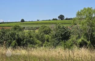 Land plot 735 m² in Vižinada for 95,000 €
