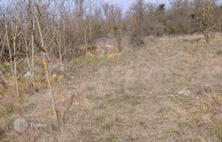 Land plot 6,230 m² in Buje for 405,000 €