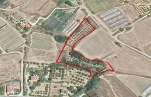 Land plot 6,423 m² in Larnaca for 350,000 €