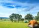 Investment land in Livorno for 13,000,000 €