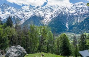 Land plot 2,443 m² in Les Houches for 890,000 €