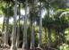 Investment land in Homestead for $4,500,000