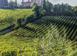 Investment land in Trequanda for 4,200,000 €