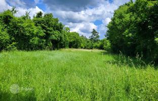 Land plot 1,785 m² in Barban for 75,000 €