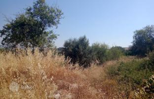 Land plot 5,800 m² in Athens for 250,000 €