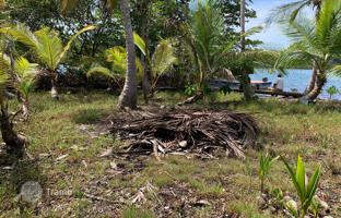 Island 9,006 m² in Panama City for 428,000 €