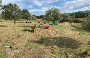 8-bedroom villa 634 m² in Campagnatico for 890,000 €