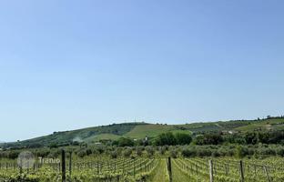 Land plot in Roccastrada for 2,370,000 €