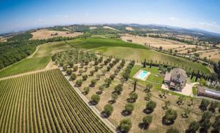 Farm 4,600 m² in Sarteano for 12,000,000 €