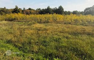 Land plot 4,343 m² in Porec for 360,000 €
