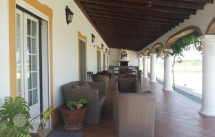 Farm 11,311 m² in Evora for 800,000 €