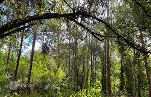 Land plot in Hendry County for $279,000