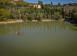 Vineyard in Manciano for 4,500,000 €