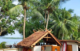 1-bedroom villa 436 m² in West Sumatra for $495,000
