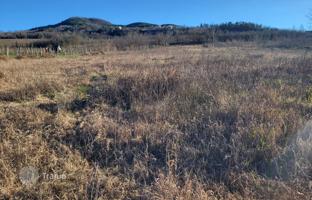 Land plot 16,849 m² in Motovun for 253,000 €