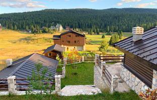 Villa 5,000 m² in Zabljak (city). Price on request
