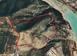 Investment land in Limassol for 1,200,000 €