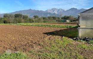 Land plot in Forte dei Marmi for 2,000,000 €