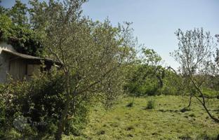 Land plot 700 m² in Loborika for 210,000 €