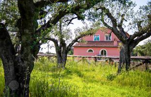 11-bedroom mansion in Castagneto Carducci for 10,000,000 €
