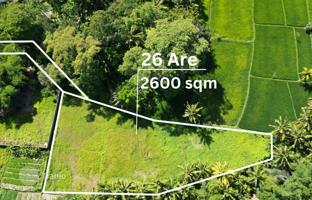 Land plot 2,600 m² in Sukawati for $266,000