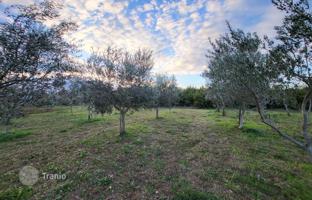 Land plot 2,449 m² in Svetvinčenat for 90,000 €