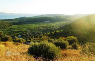 Farm 9,700 m² in Korcula for 65,000 €