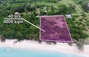 Land plot 4,000 m² in East Nusa Tenggara for 169,000 €
