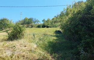 Land plot 1,750 m² in Pazin. Price on request
