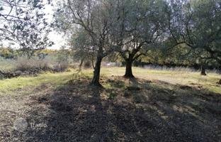 Land plot 7,673 m² in Galižana for 230,000 €