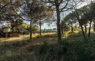 Land plot 1,229 m² in Mataro for 530,000 €