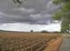 Investment land in Grosseto (city) for 3,600,000 €