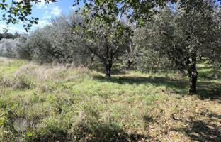 Land plot 5,793 m² in Pula for 580,000 €
