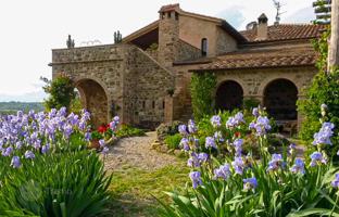 8-bedroom villa in Castel del Piano for 1,150,000 €