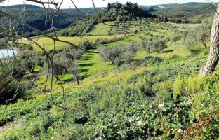 Land plot 450 m² in Massa Marittima for 800,000 €