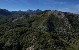 Land plot 136,850 m² in Cetinje (city) for 1,450,000 €