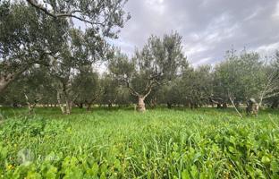 Land plot 1,417 m² in Kastela for 390,000 €