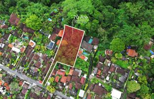Land plot 7,000 m² in Ubud for $405,000