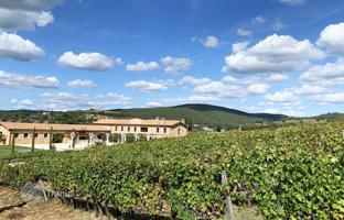 Farm 2,745 m² in Massa Marittima for 28,000,000 €