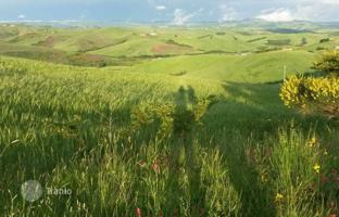Land plot 300 m² in Siena for 980,000 €