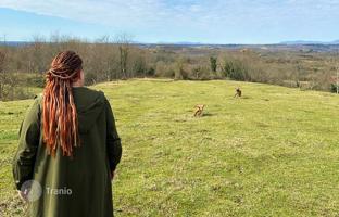 Land plot 2,304 m² in Tskaltubo for $105,000