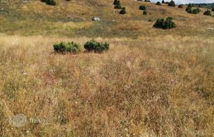 Land plot 36,000 m² in Zabljak (city) for 2,880,000 €