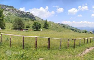 Huge plot of land in Lipovo, Kolasin, Montenegro for 360,000 €
